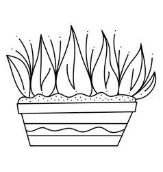 Abstract Plant In A Pot Doodle Black And White