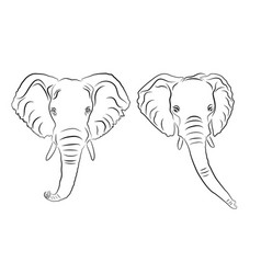 Elephant Frontal Face Line Drawing