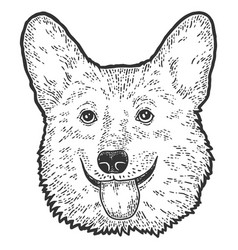 Dog Head Corgi Sketch Scratch Board Imitation