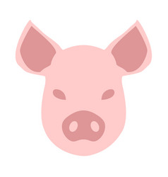 Pig Domestic Farm Animal Face Or Head Isolated