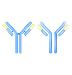 Antibody Molecule Signs Or Icons