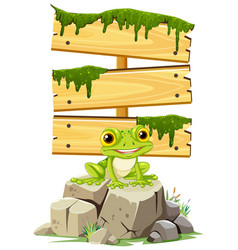 Happy Frog Sitting Under A Mossy Wooden Sign