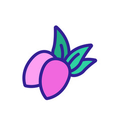 Jojoba Berries With Leaves Icon Outline