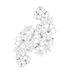 Yellow Hibiscus Flower Coloring Page Line Drawing