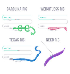 Finesse Rigs For Bass Fishing