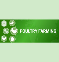 Poultry Farming Background