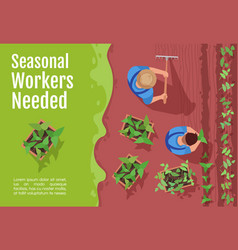 Seasonal Workers Hiring Banner Template