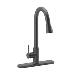 Stainless Steel Faucet