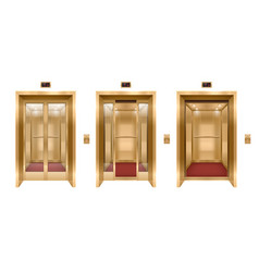 Golden Elevator Door Set