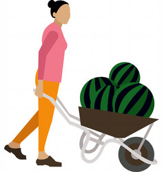 Gardener Pushing Wheelbarrow With Watermelon