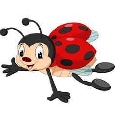 Cartoon ladybug flying isolated on white Vector Image