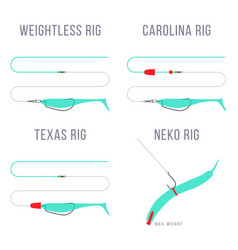 Finesse Rigs For Bass Fishing