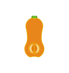 Pumpkin Gourd Graphics On A White Background