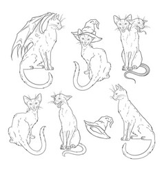 Black Cats Witch Familiar Spirit Set Halloween