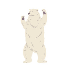 Big Polar Bear Stands On Hind Legs Flat Style