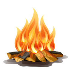 Campfire with wood isolated Royalty Free Vector Image