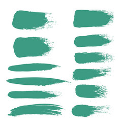 Mint Blot Set With White Background