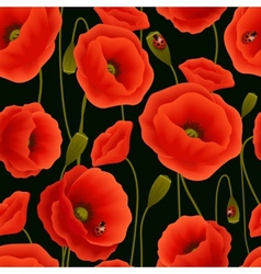 Poppy Wallpaper Vector Images Over 2 700