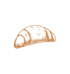 French Roll Isolated Croissant Hand Drawn Sketch