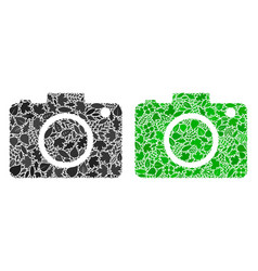 Photo Camera Icon Eco Collage Of Leaves