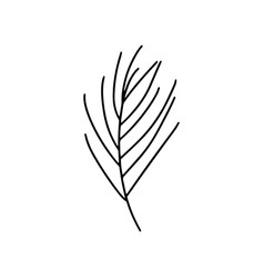 Pine Tree Branch Sketch