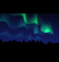 Realistic Northern Lights Night Sky And Amazing