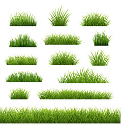 Big Set Green Grass Isolated