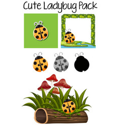 Cute Lady Bug Pack