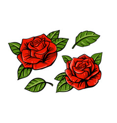 Abstract black and white rose Royalty Free Vector Image