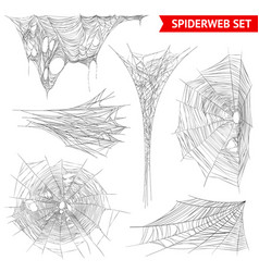 Realistic Spider Web Cobweb Set