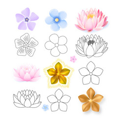 Forget Me Not Outline Vector Images 65