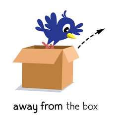 Preposition Movement Bird Fly Away From Box