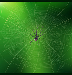 Spider Weaving Its Web Realistic Background