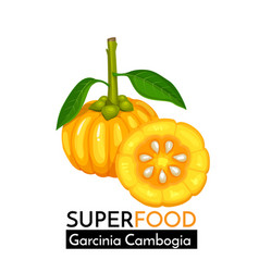 Garcinia Cambogia Icon