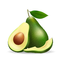 Avocado Realistic