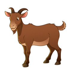 Goat Cartoon Animal