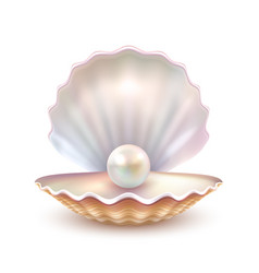 Pearl Shell Realistic Close Up Image