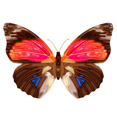 Pink Exotic Butterfly Tropical Insect Neon