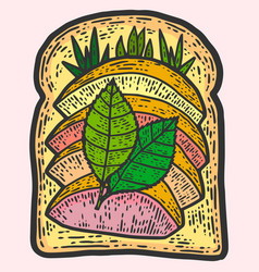 Sandwich With Avocado And Herbs Sketch Scratch