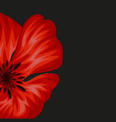 Poppy Banner