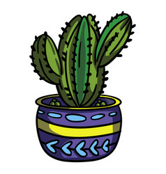 Bulbous Cactus Plant Pot