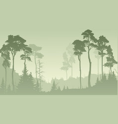 Horizontal Of Misty Forest In Green Tone