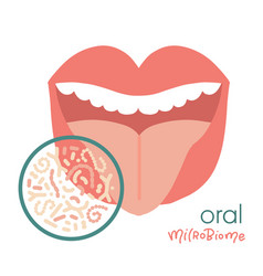 Human Oral Microbiome Isolated Concept Healthy