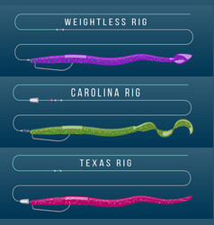 Finesse Rigs For Bass Fishing