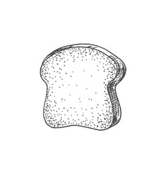 White Or Brown Bread Slice Isolated Toast Bakery