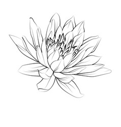 Minimalist Geometric Water Lily Tattoo