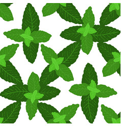 Seamless Pattern With Herbal Mint