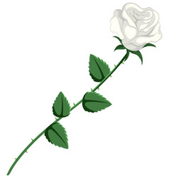 Simple Style Cartoon Of A White Rose