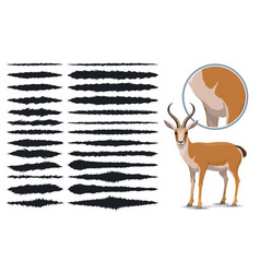 Animal Fur Texture Brush Strokes Design Elements