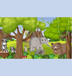 Wild Animals In The Forest A Cartoon